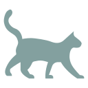 turquoise cat icon