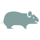turquoise guinea pigs icon
